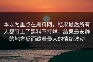 本以为重点在黑料网，结果最后所有人都盯上了黑料不打烊，结果最安静的地方反而藏着最大的情绪波动